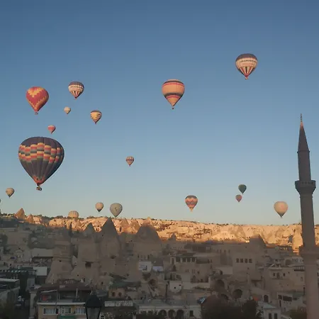فندق Arch Palace