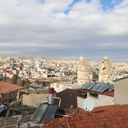 فندق Arch Palace