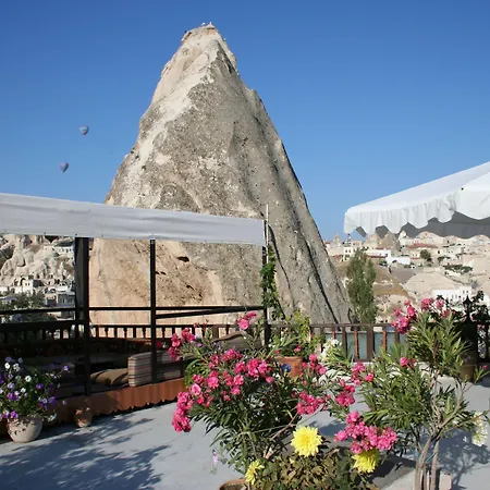 فندق Arch Palace 3*