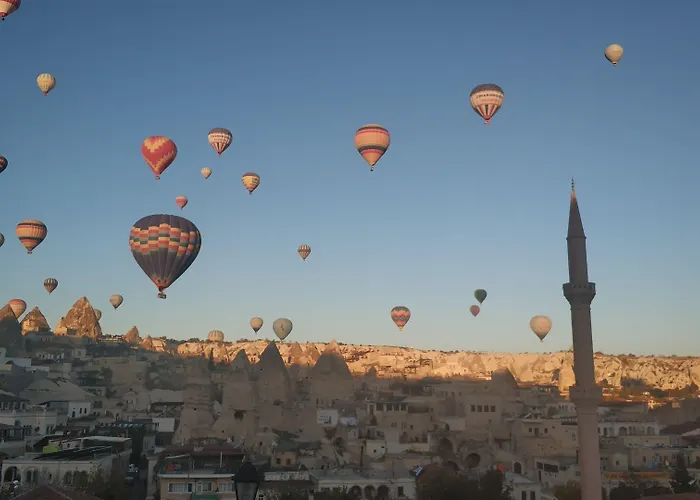 酒店 阿克王宫酒店
