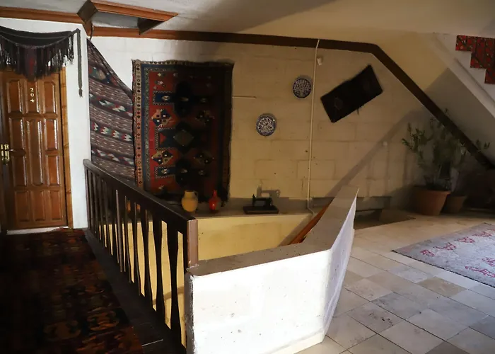 Отель Arch Palace