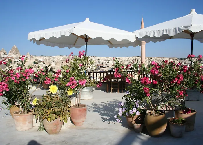 阿克王宫酒店 3* 格雷梅