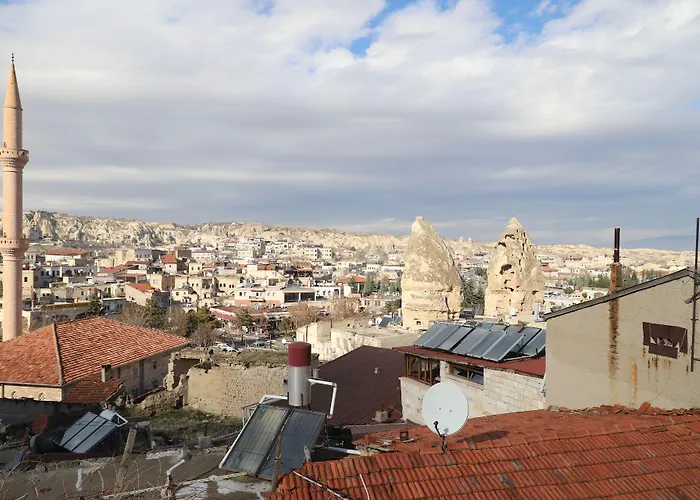 酒店 阿克王宫酒店