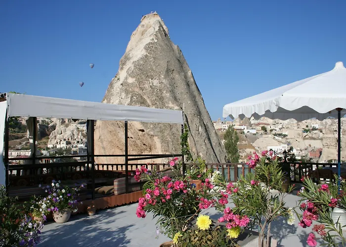 Отель Arch Palace 3*