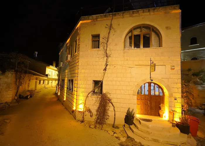 酒店 阿克王宫酒店 3*