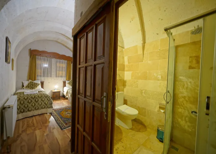 Отель Arch Palace 3*